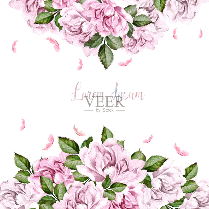 牡丹花水彩画婚礼卡片。正版插画素材