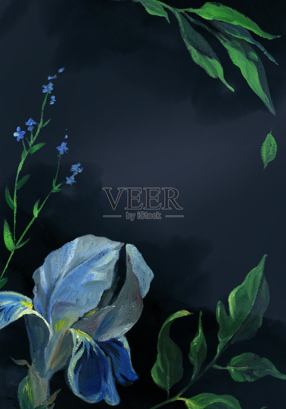 垂直卡片的蓝色鸢尾花和叶子在黑色的背景。花画在旧式风格正版插画素材
