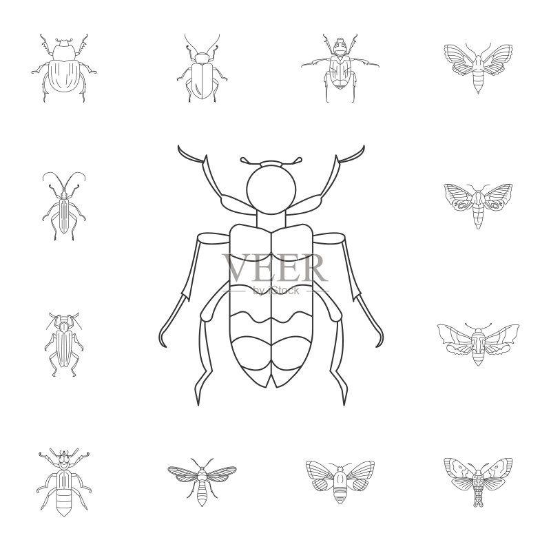 甲虫图标，来自昆虫合集的简单元素插画，可用于网页和移动端图标素材