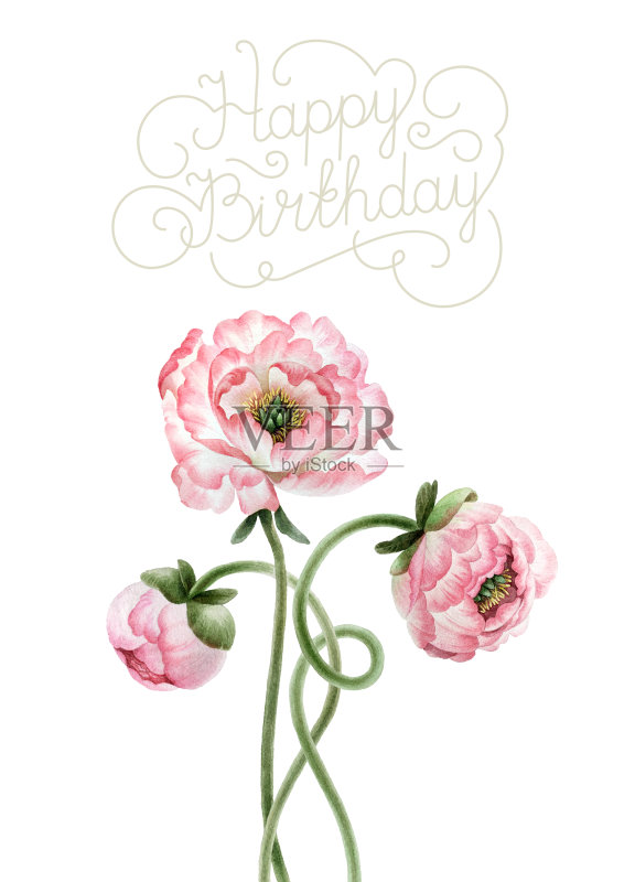 水彩牡丹正版插画素材