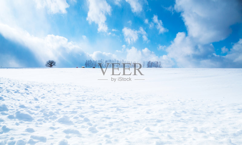 北边的雪山和白桦树正版图片素材