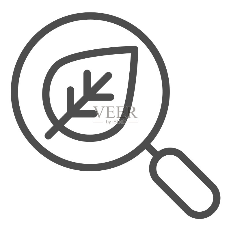 叶子线条图标搜索，放大镜和植物矢量图，生态搜索轮廓设计，适用于网页和App图标素材
