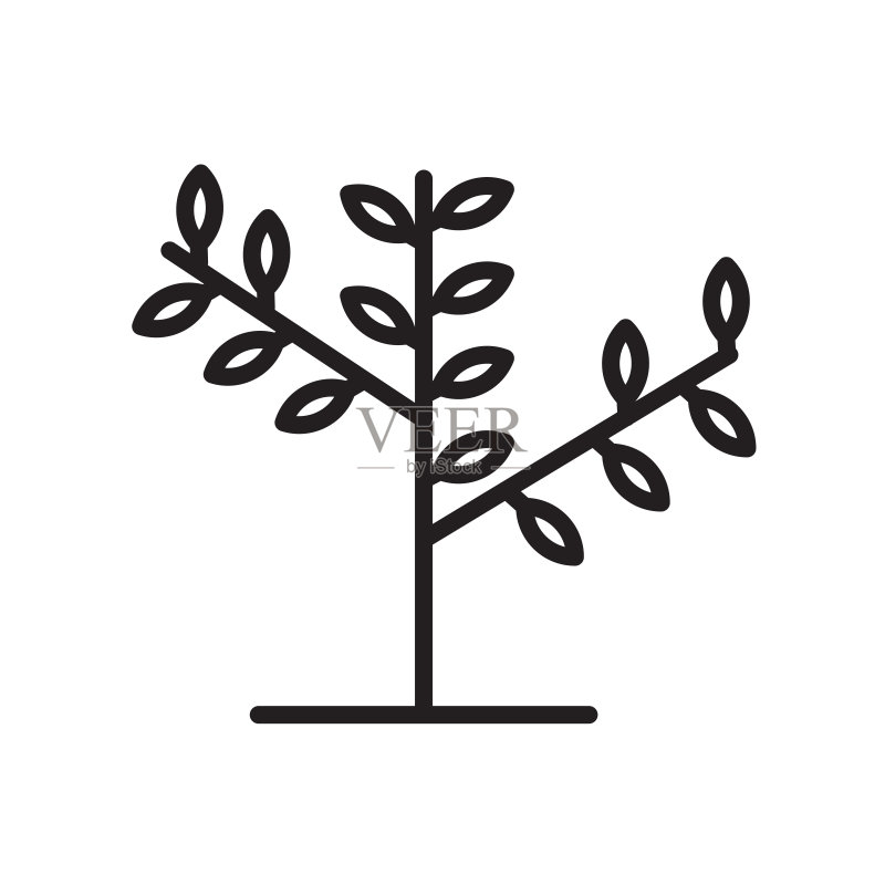 植物图标矢量符号，与白色背景隔离，植物logo概念，轮廓符号，线性符号图标素材