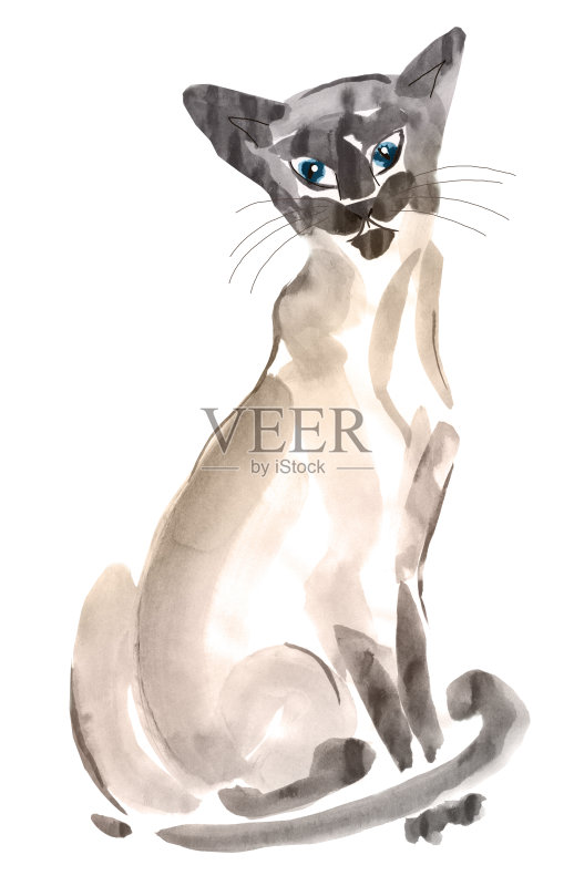 手绘坐猫与蓝色眼睛孤立在白色的背景正版插画素材
