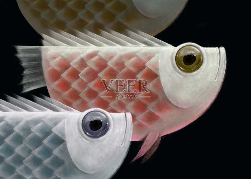 深的水正版插画素材