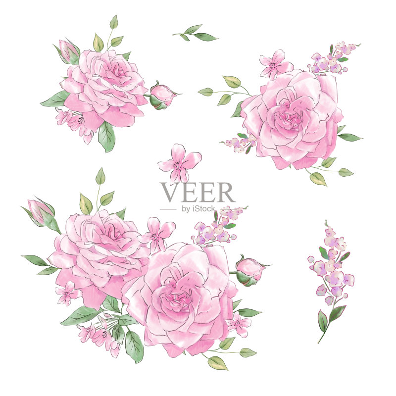 一大批娇嫩的玫瑰水彩画品质超群。正版插画素材