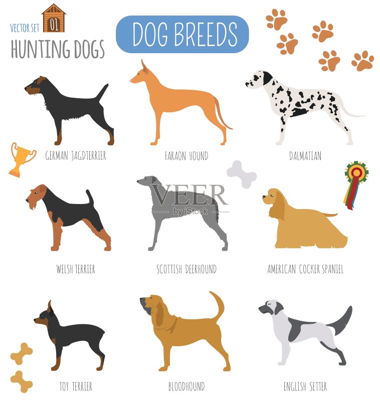猎犬品种图标扁平风格合集图标素材