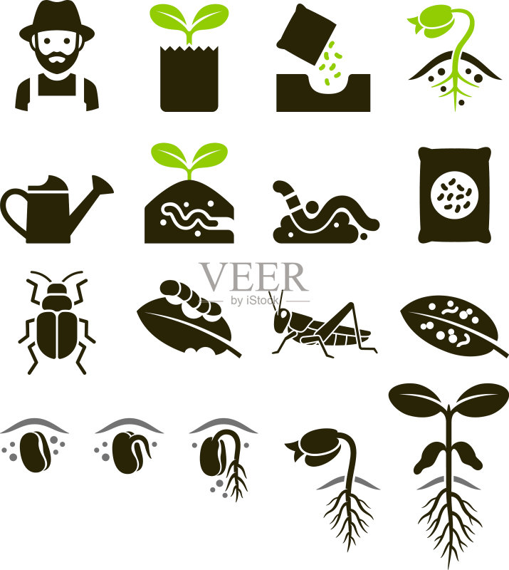 植物图标图标素材