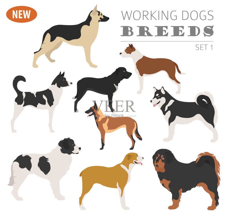 工作犬品种图标合集图标素材