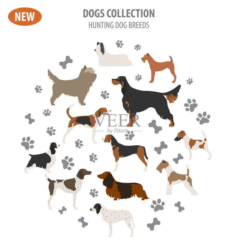 猎犬品种图标，白色背景图标素材