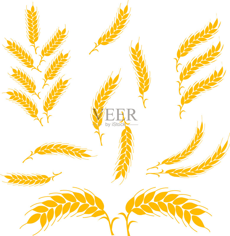 小麦穗图标和logo有机小麦素材图标素材
