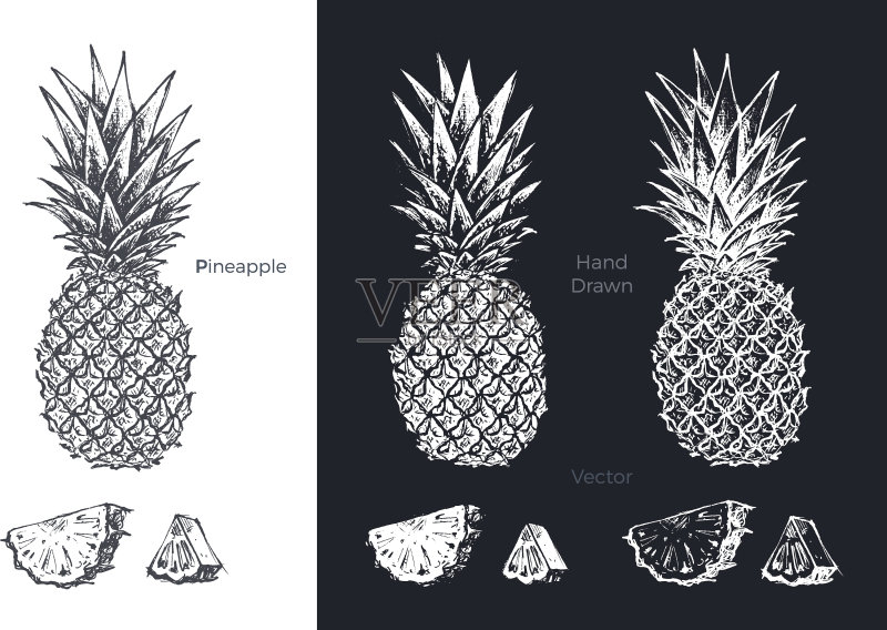 手绘菠萝水果素描合集图标素材