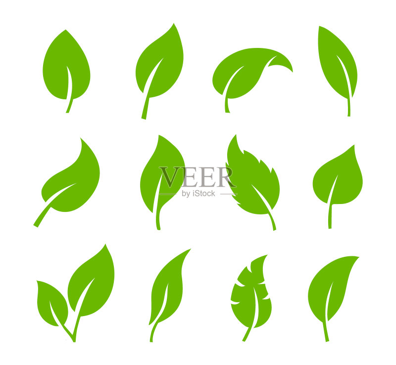 白色背景上隔离的绿叶图标矢量集。树木和植物的绿叶形状。生态和生物标志的元素。eps 10图标素材