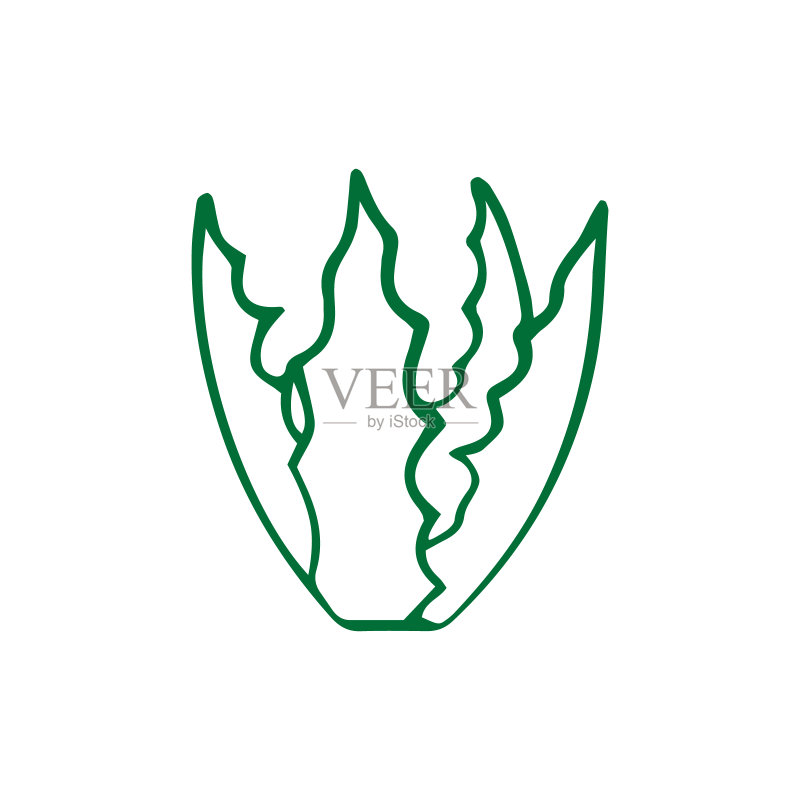 白色背景上手绘涂鸦芦荟图标，手绘线条艺术，植物素描，轮廓矢量素材，EPS 10图标素材