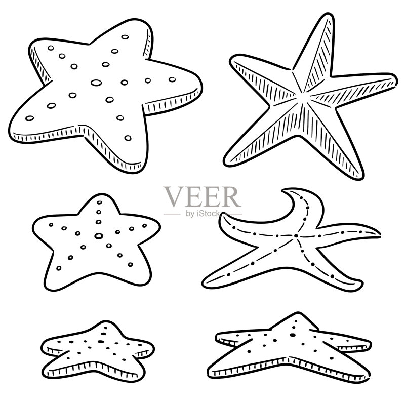 海星图标素材