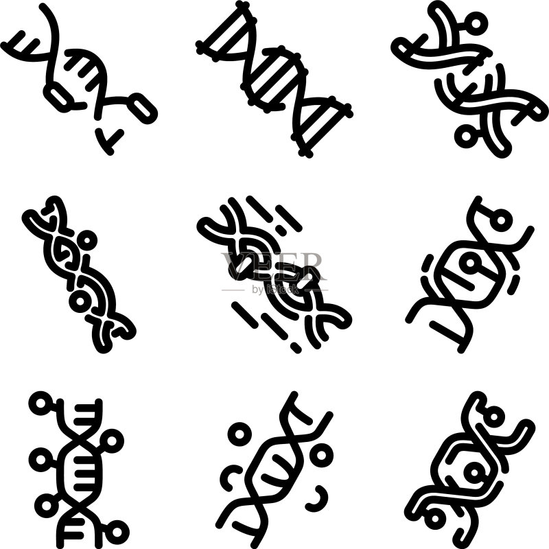 DNA螺旋图标或Logo图标素材