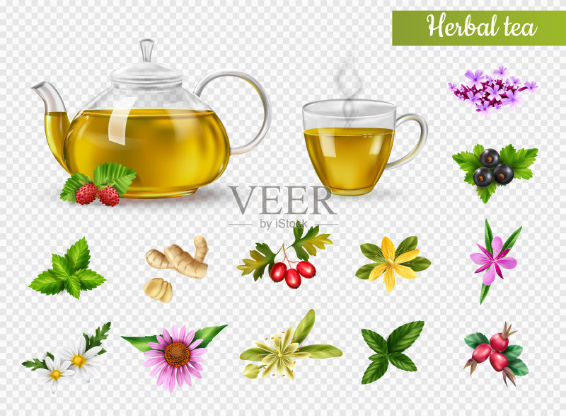 草药茶具图标素材
