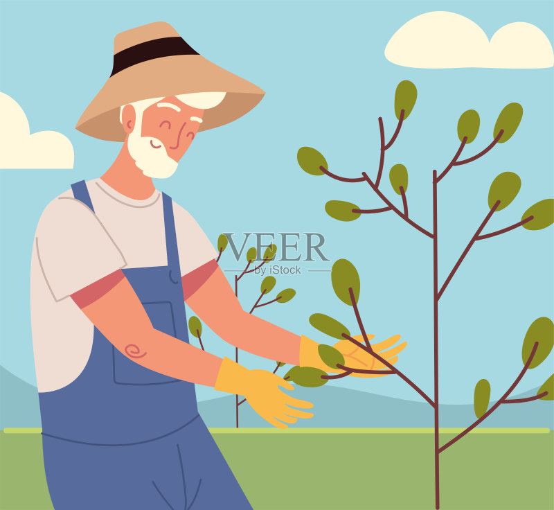 老人与树正版插画素材