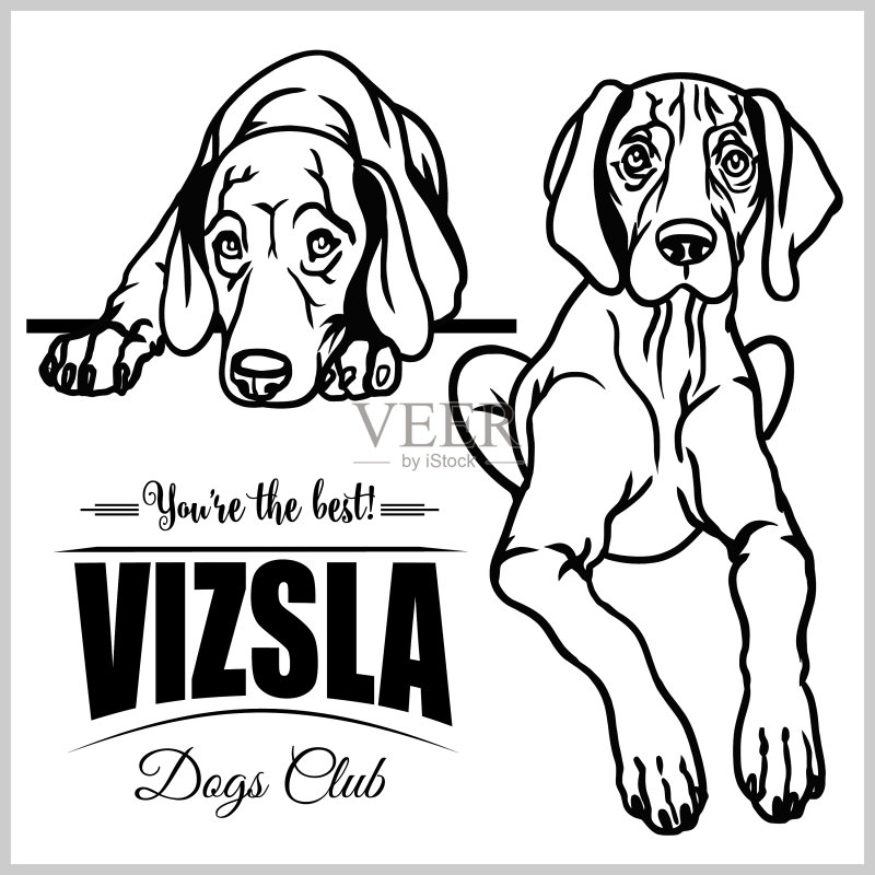 维兹拉犬 - 白色背景上的集合图标素材