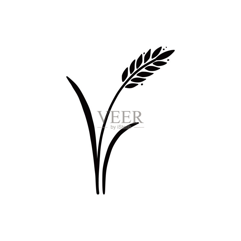 手绘小麦大米图标图标素材