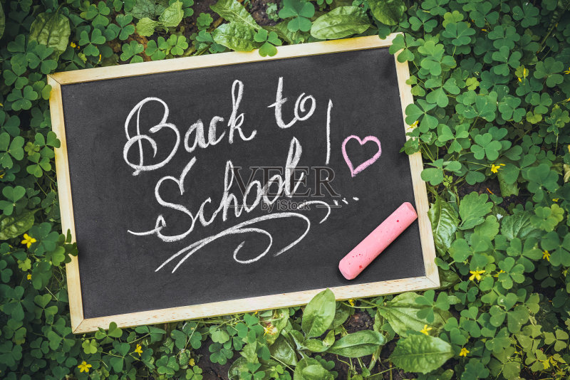 草地上放着一块写有“回校”字样的牌匾正版图片素材