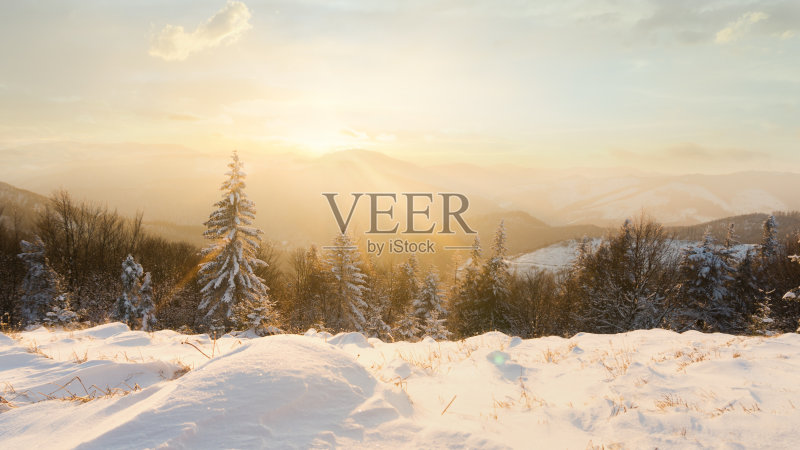 白雪覆盖的冬季山地森林全景照片摄影图片